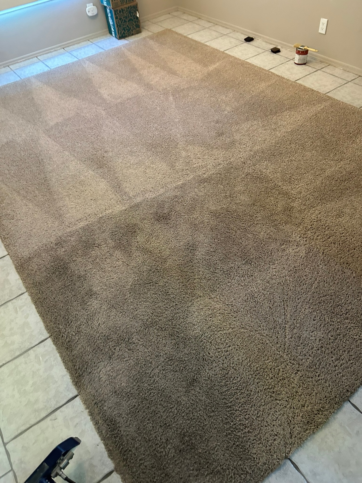 Carpet Cleaning